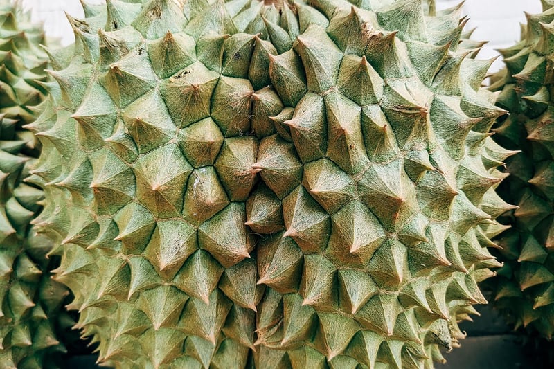 Durian Fruit